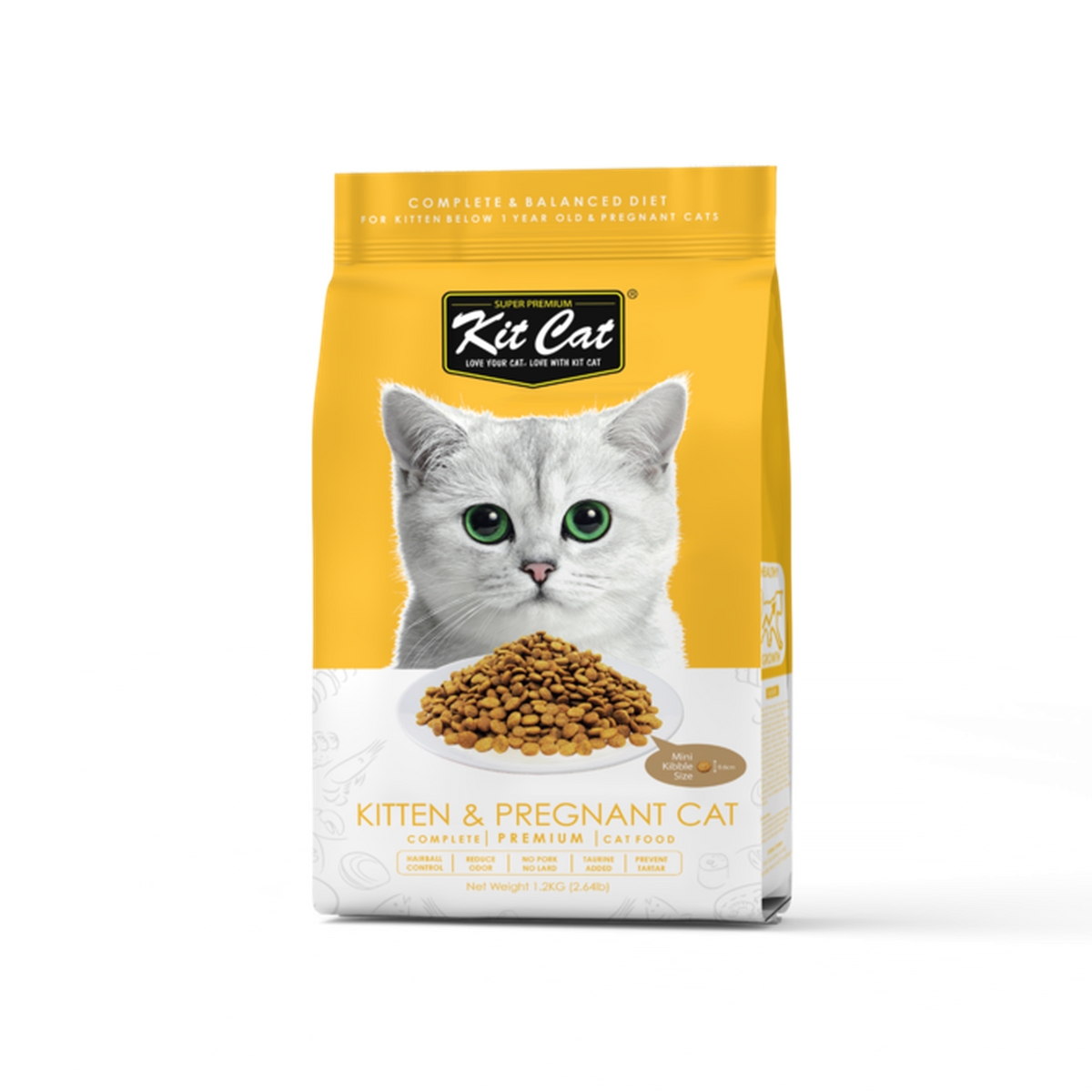 What do you feed a pregnant cat 2025