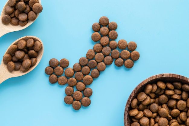 A Guide to Choosing Dog Food.