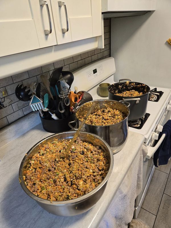 Is HomeCooked Dog Food More Nutritious?