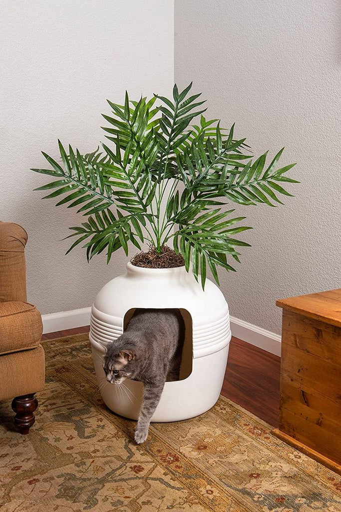 How to Keep Your Home Clean & Odour-Free with Cats