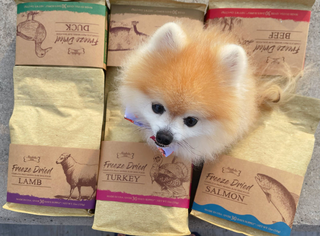 5 Freeze-Dried Dog Food Tips Every Owner Needs | B2K Pet