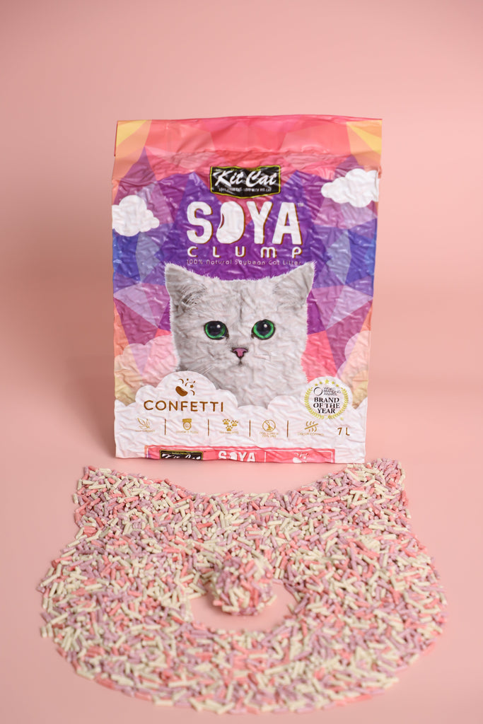 What Every Cat Owner Should Know About Cat Litter | B2K Pet