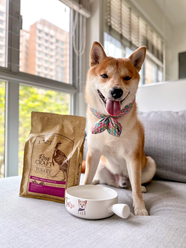 A Dog Owner's Guide to Selecting Quality Kibble.