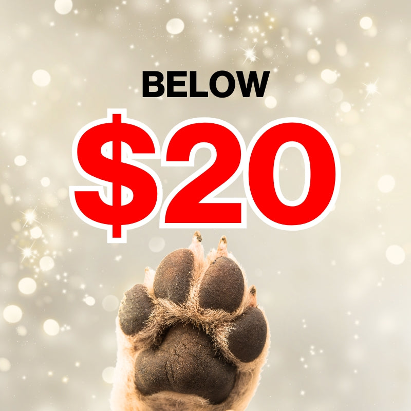 Below $20 X'mas Gift