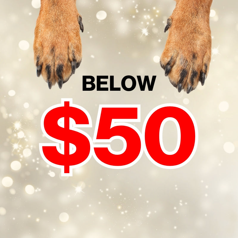 Below $50 X'mas Gift