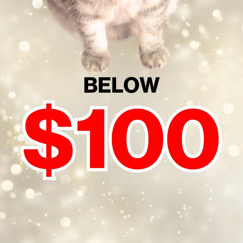 Below $100 X'mas Gift
