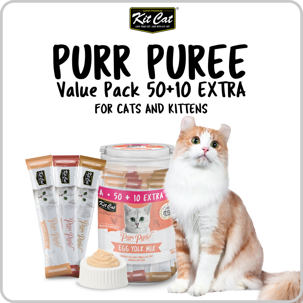 Kit Cat Purr Puree Liquid 60 Sticks