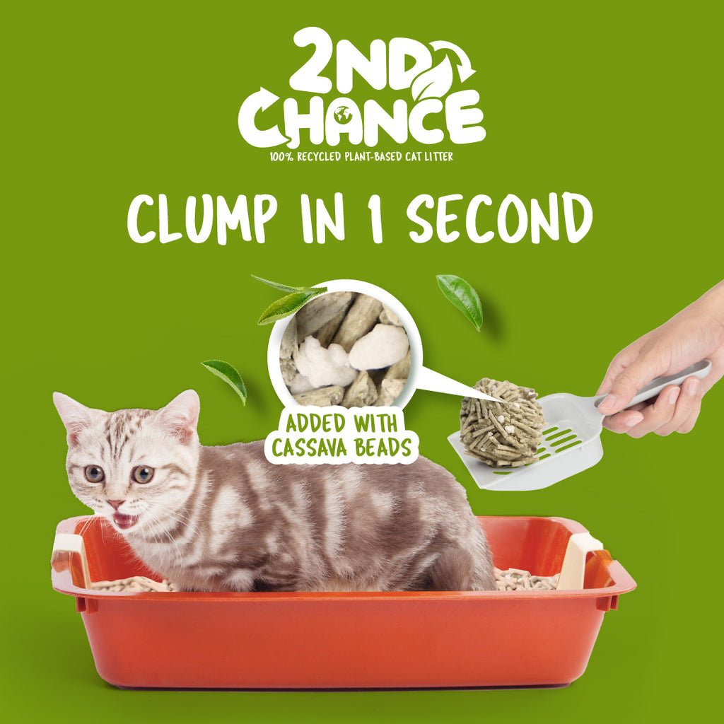 [CTN OF 6] Kit Cat 2nd Chance Plant-Based Cat Litter - Green Tea Leaves (6 X 2.5KG)