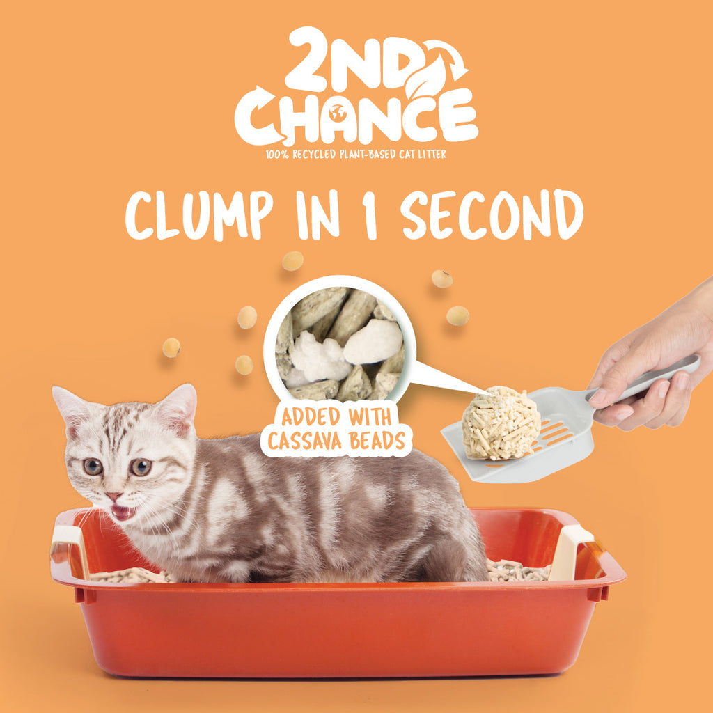 [CTN OF 6] Kit Cat 2nd Chance Plant-Based Cat Litter - Pea Fiber (6 X 2.5KG)