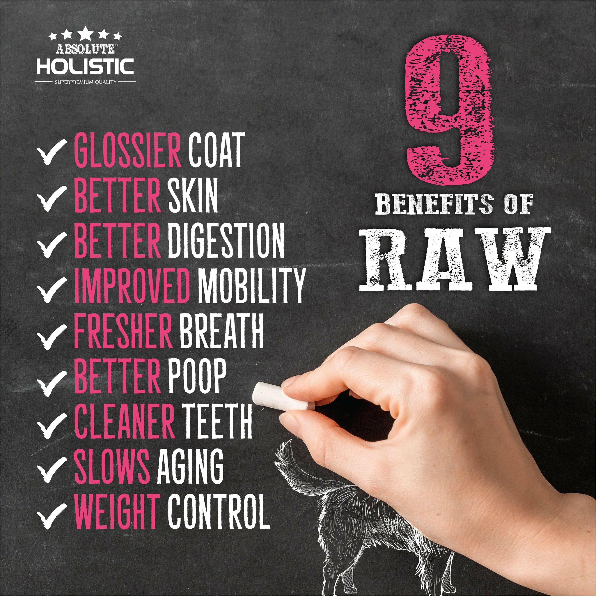 Absolute Holistic Raw in the Bag Complete Freeze Dried Dog Food - Pork Bites (14oz).