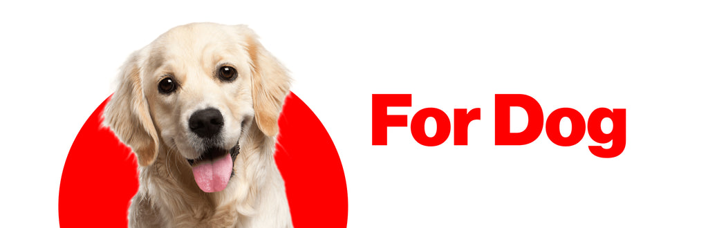 FOR DOG.jpg__PID:b02e9c3c-ab2a-4b3d-a24b-9821cc3d1766