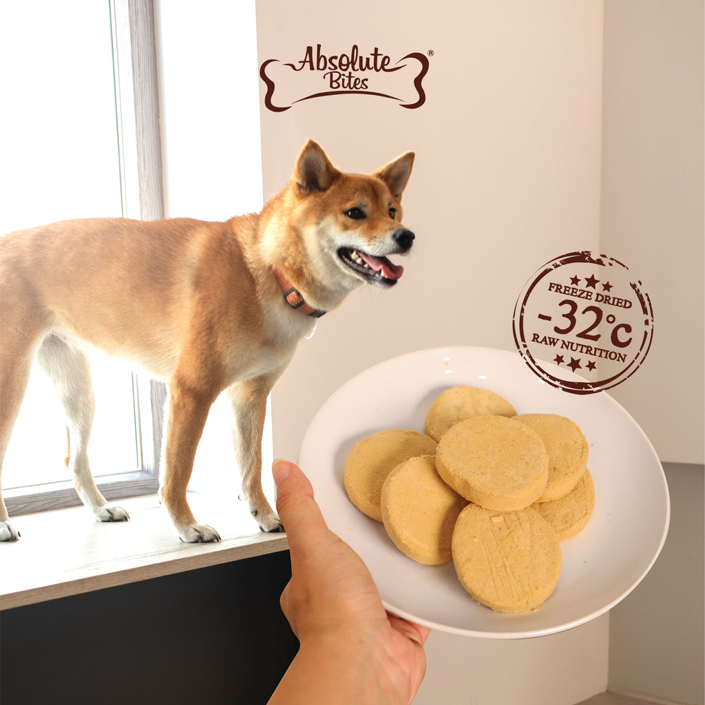 Absolute Bites Freeze-Dried Raw Quail Patty for Dogs (12oz), high-protein treat made with premium raw quail.