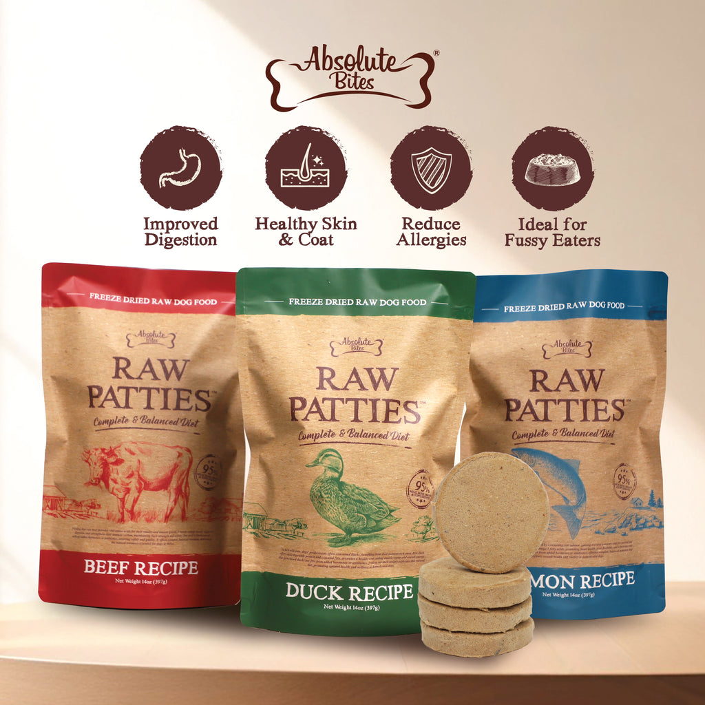 Absolute Bites Freeze-Dried Raw Duck Patty for Dogs, high-protein treat made with premium raw duck.
