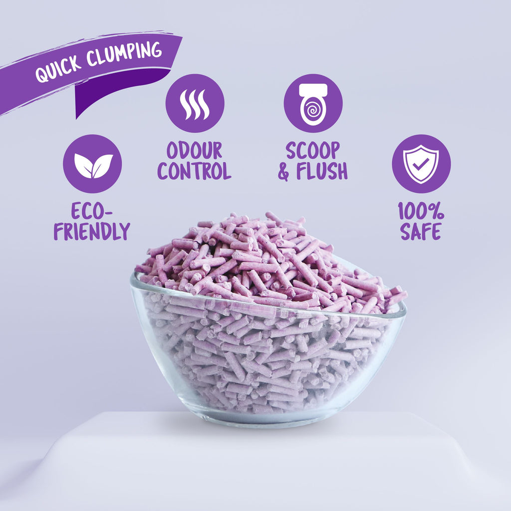Kit Cat Soya Clump Cat Litter - Lavender (7L)