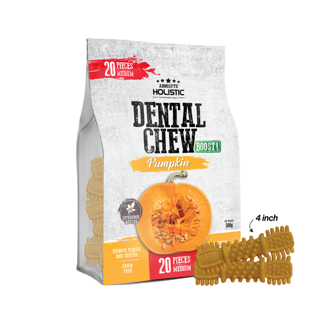 Absolute Holistic Jumbo Pack BOOST Medium Dental Chews for Dogs - Pumpkin (500g)