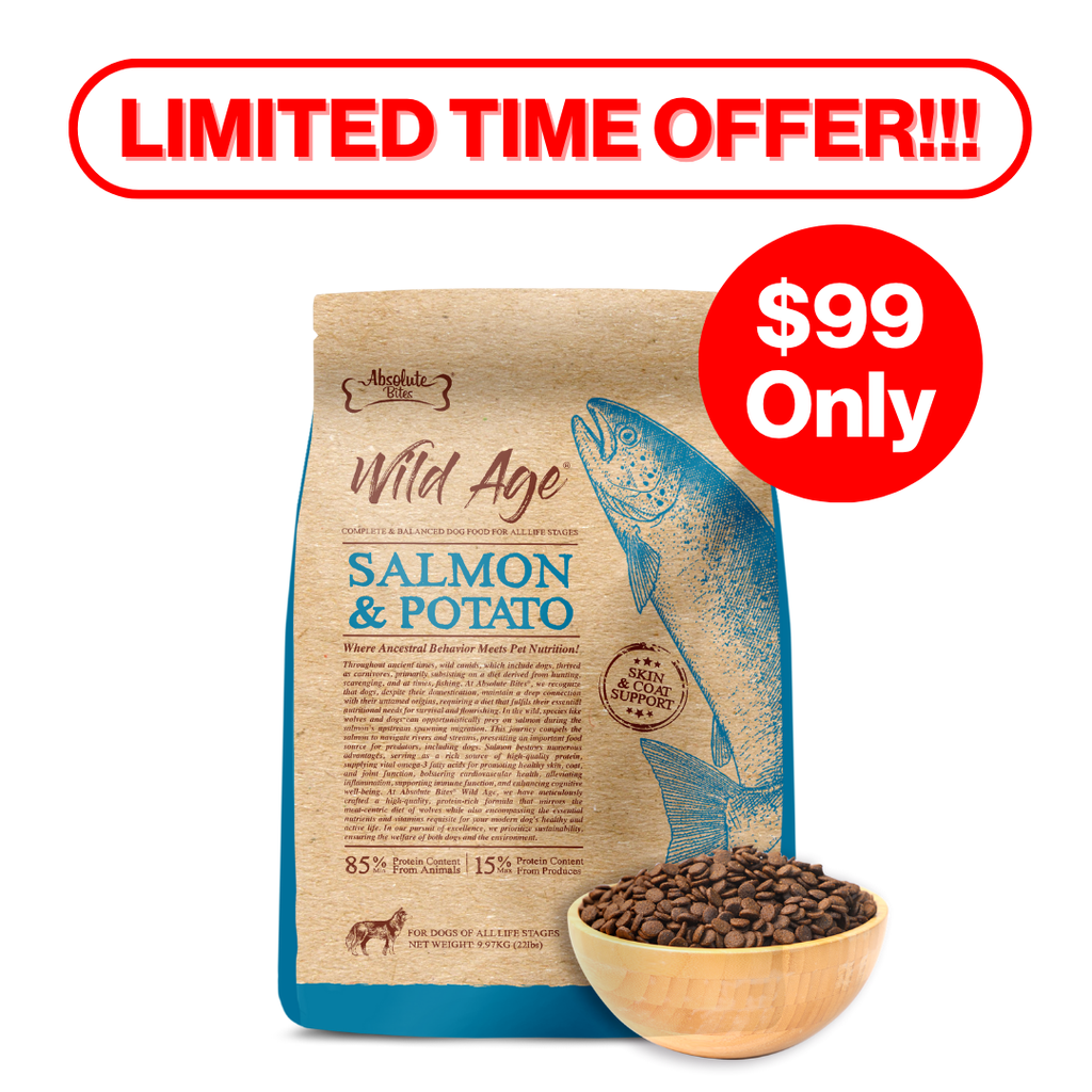 Absolute Bites Wild Age Dry Dog Food - Salmon & Potato (22lbs).