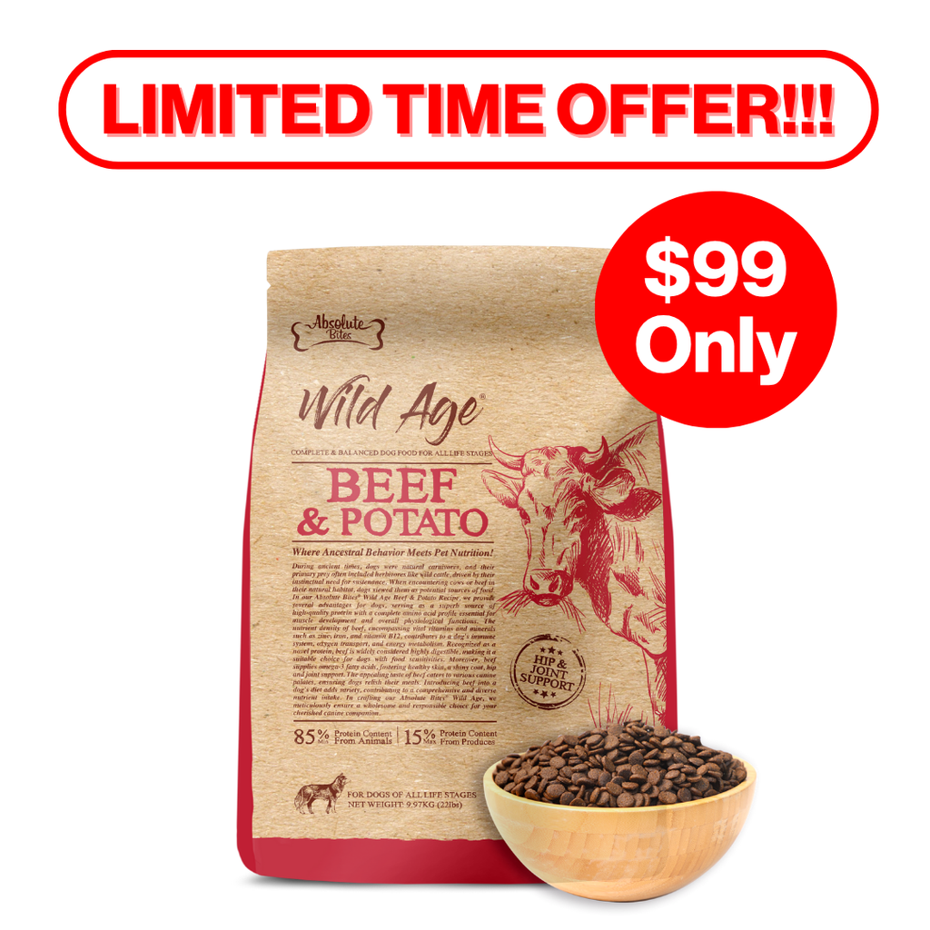 Absolute Bites Wild Age Dry Dog Food - Beef & Potato (22lbs).