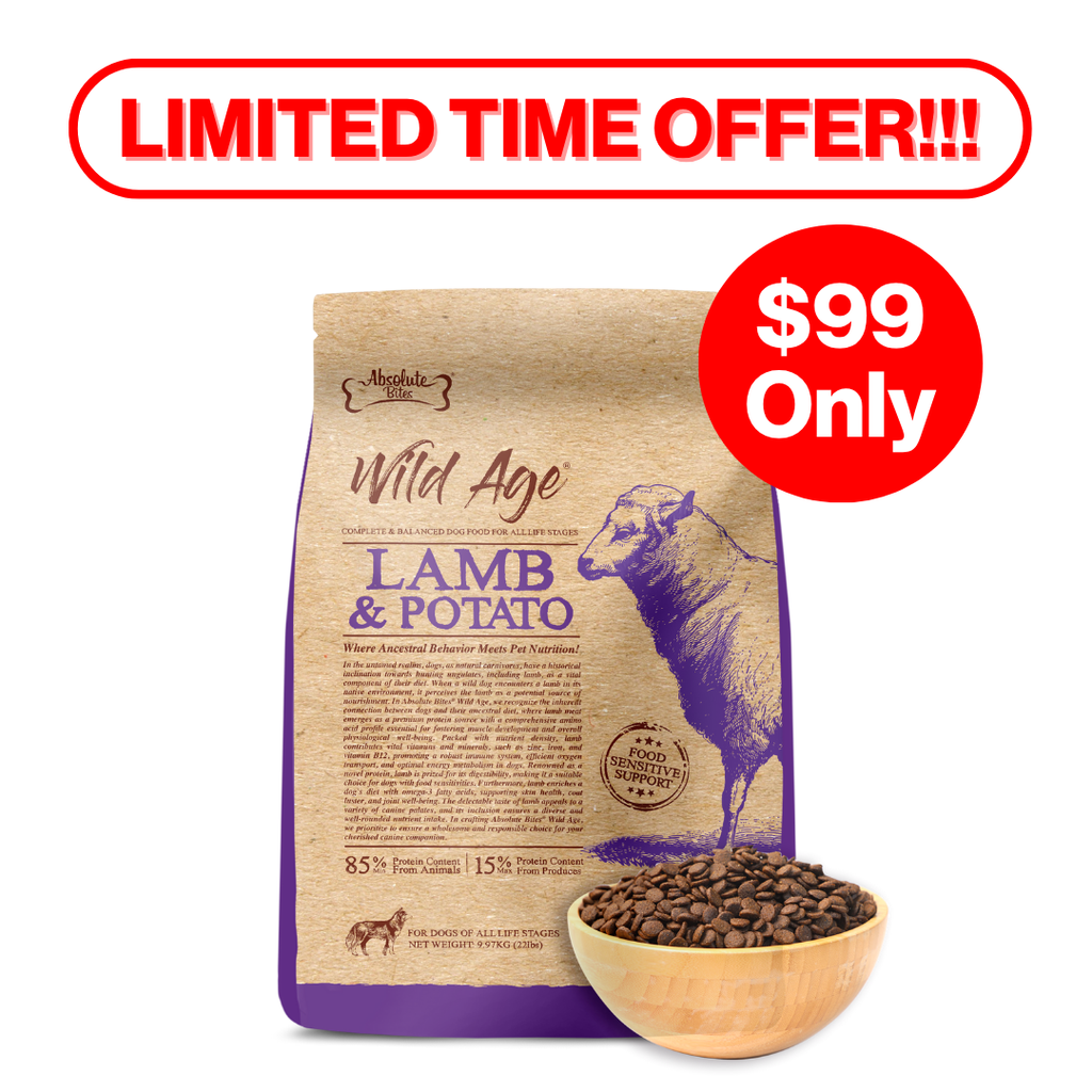 Absolute Bites Wild Age Dry Dog Food - Lamb & Potato (22lbs).