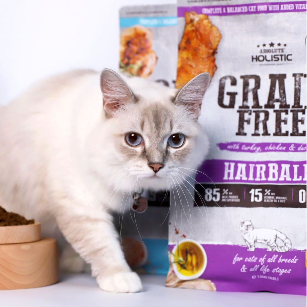 Absolute Holistic Grain Free Dry Cat Food - Coat Care (10lbs)