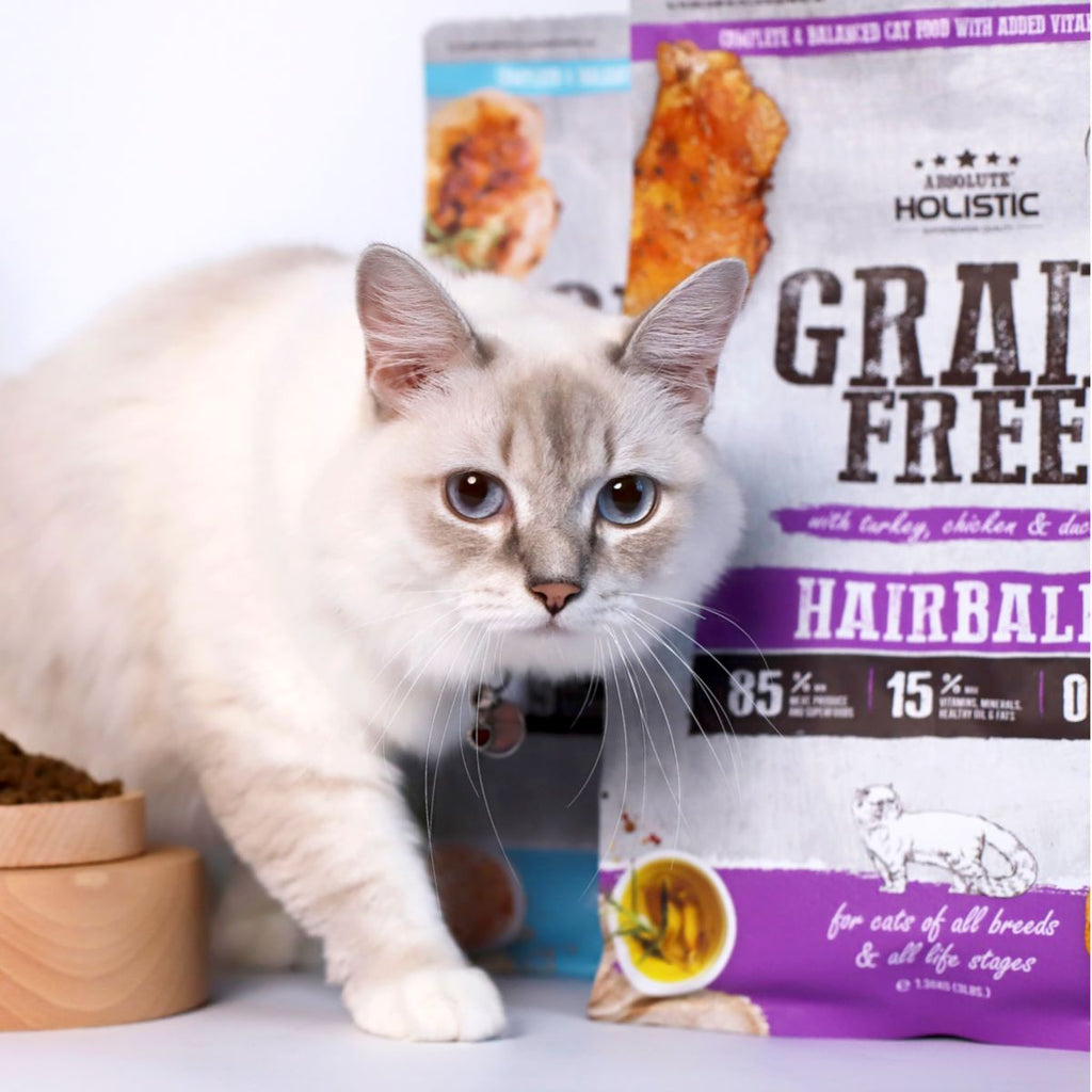Absolute Holistic Grain Free Dry Cat Food -  Indoor (10lbs)