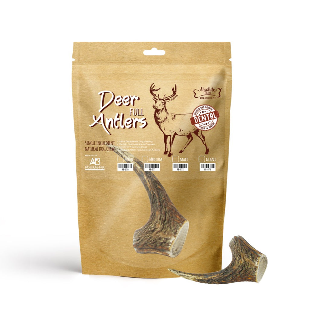 Absolute Bites Single Ingredient Dog Chew - Whole Deer Antler (Mini) | Dental Care