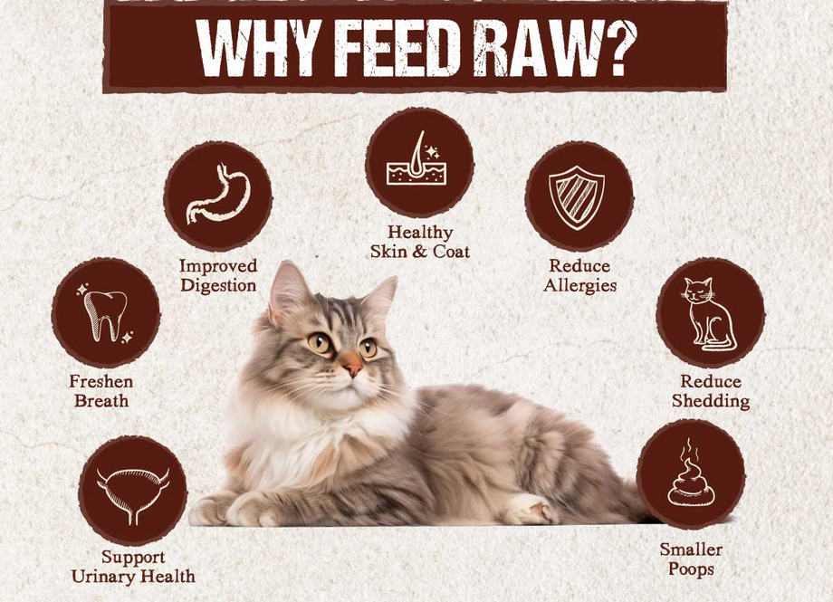 Absolute Bites Raw Chunks Freeze Dried Raw Food for Cats