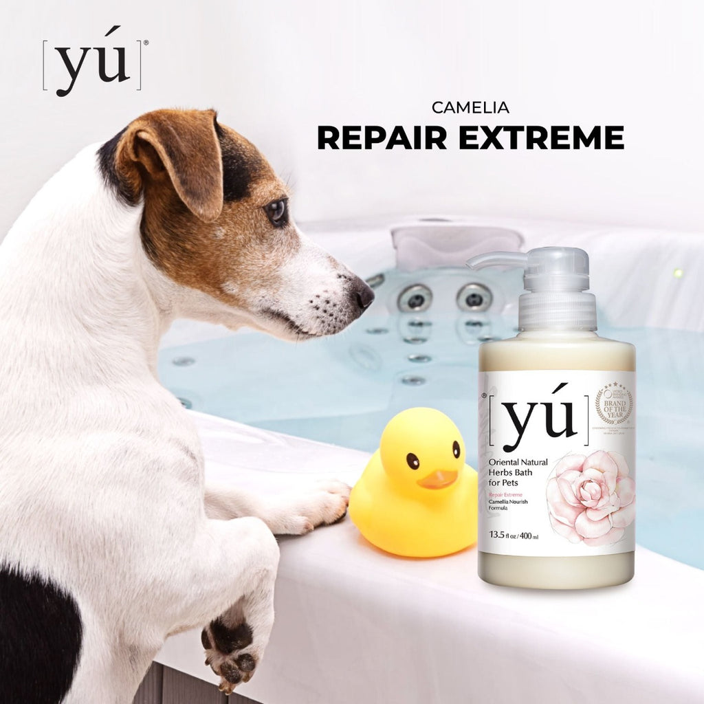 YU Oriental Natural Herbs Bath Shampoo for Cats & Dogs -  Camellia Nourish formula