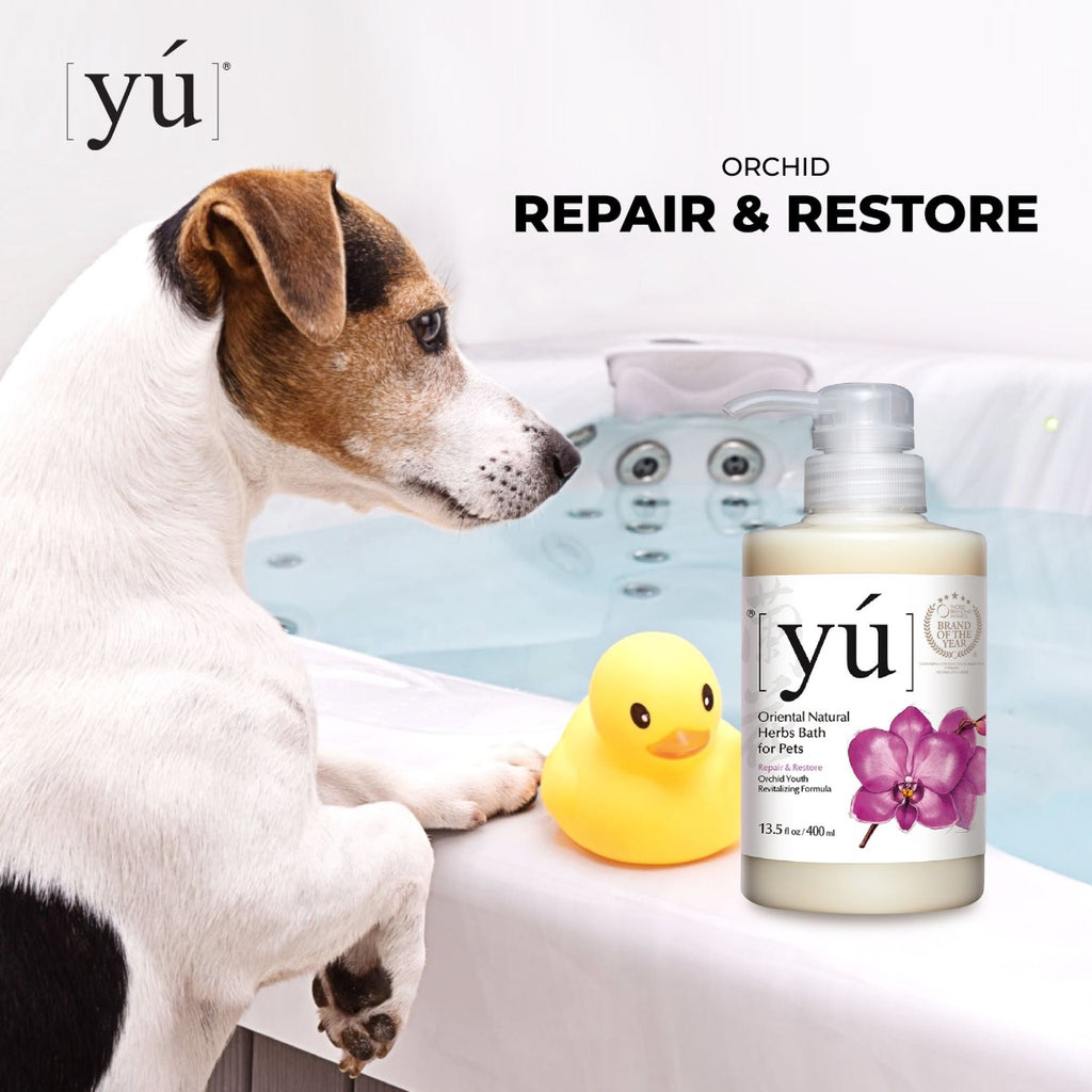 YU Oriental Natural Herbs Bath Shampoo for Cats & Dogs -  Orchid Youth Revitalizing