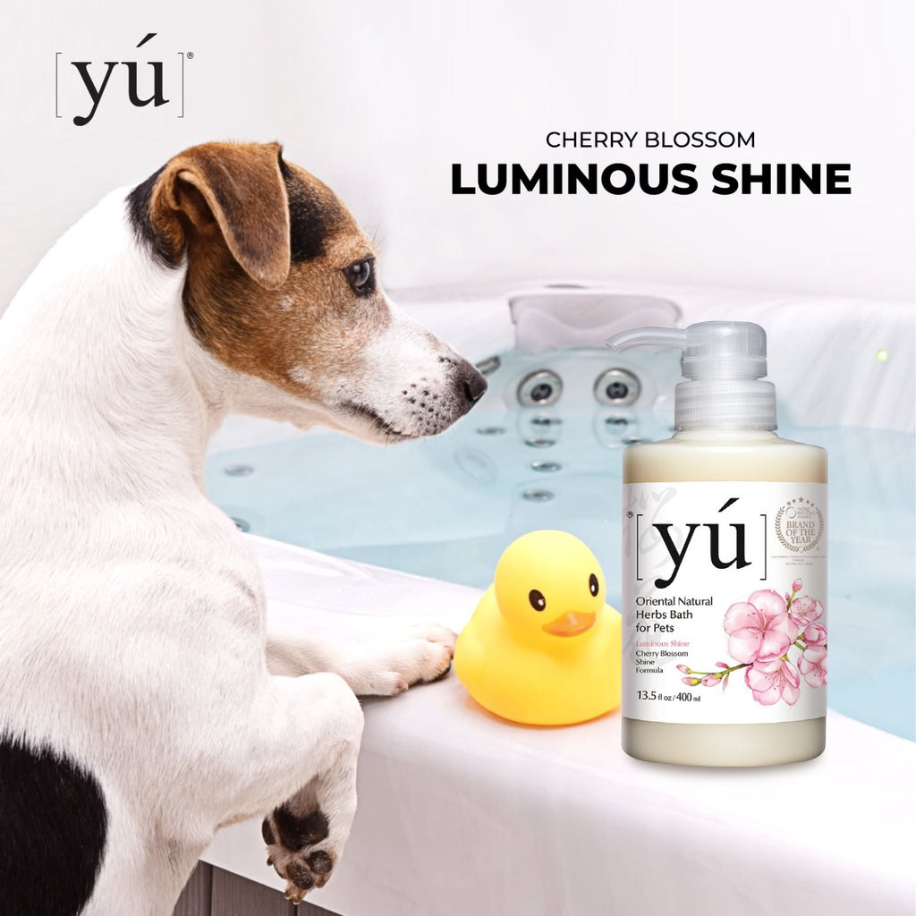 YU Oriental Natural Herbs Bath Shampoo for Cats & Dogs -  Cherry Blossom Shine formula 