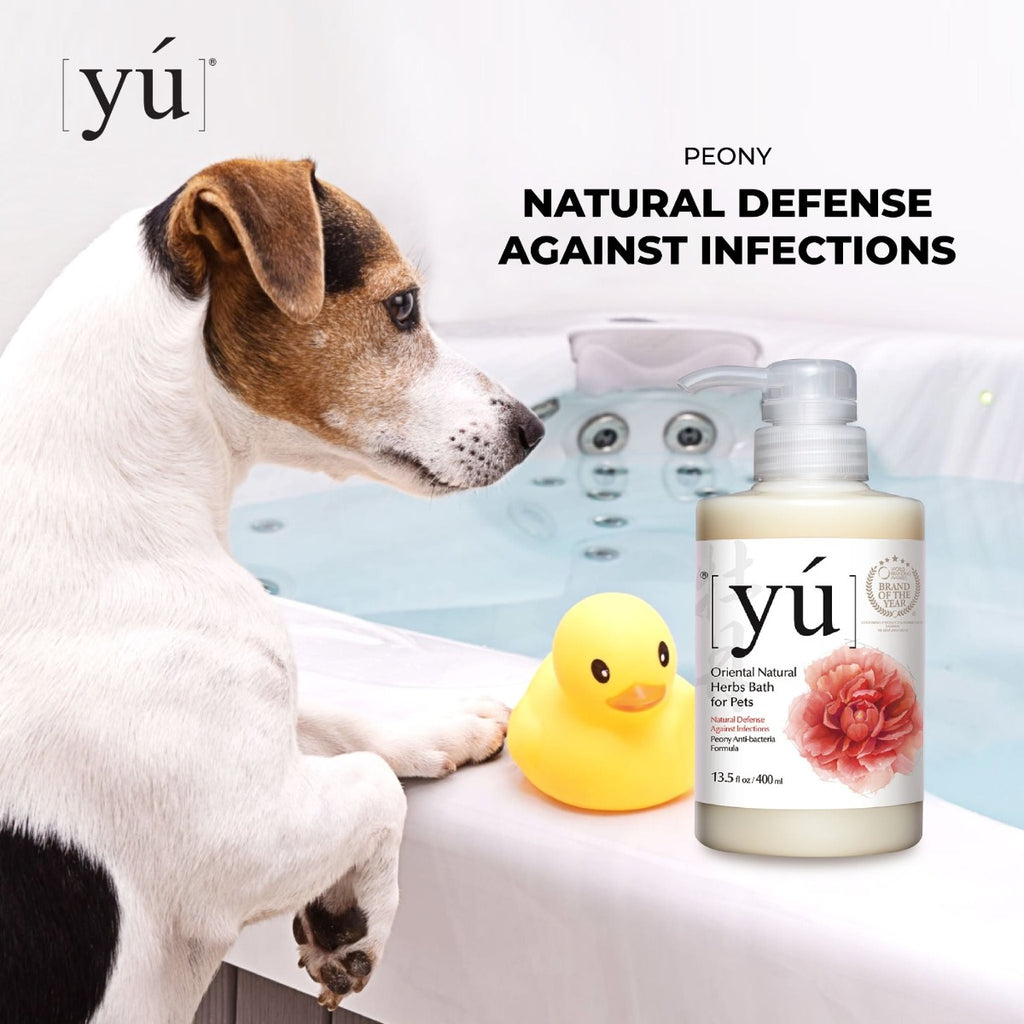 YU Oriental Natural Herbs Bath Shampoo for Cats & Dogs -  Anti Bacterial formula