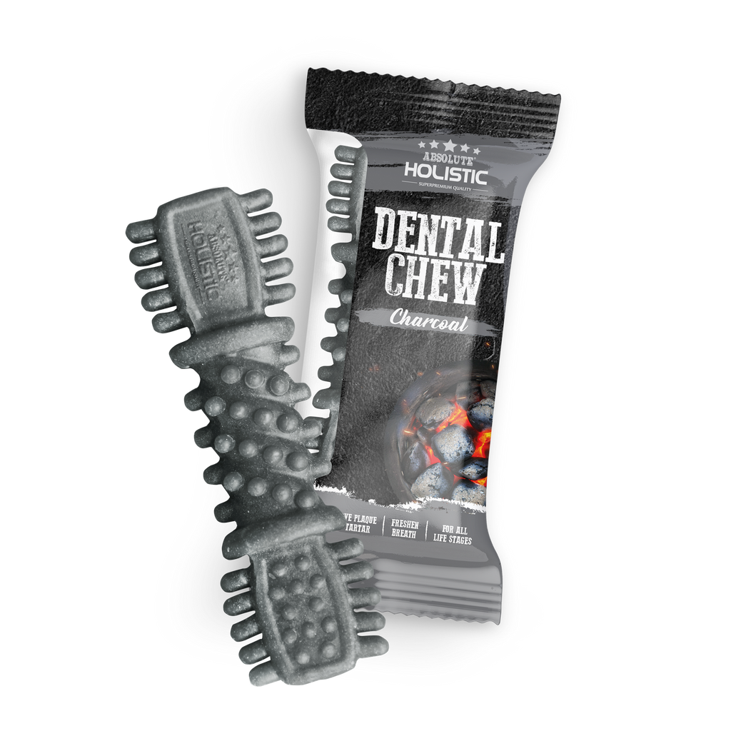 Absolute Holistic Dental Chew for Dogs - Charcoal (4")