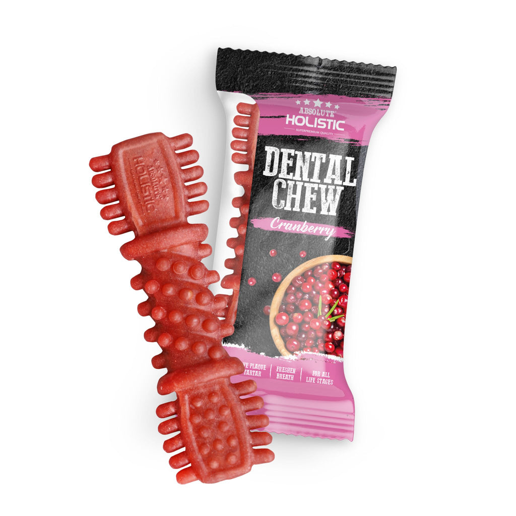 [CTN OF 50] Absolute Holistic Dental Chew for Dogs - Cranberry (4")