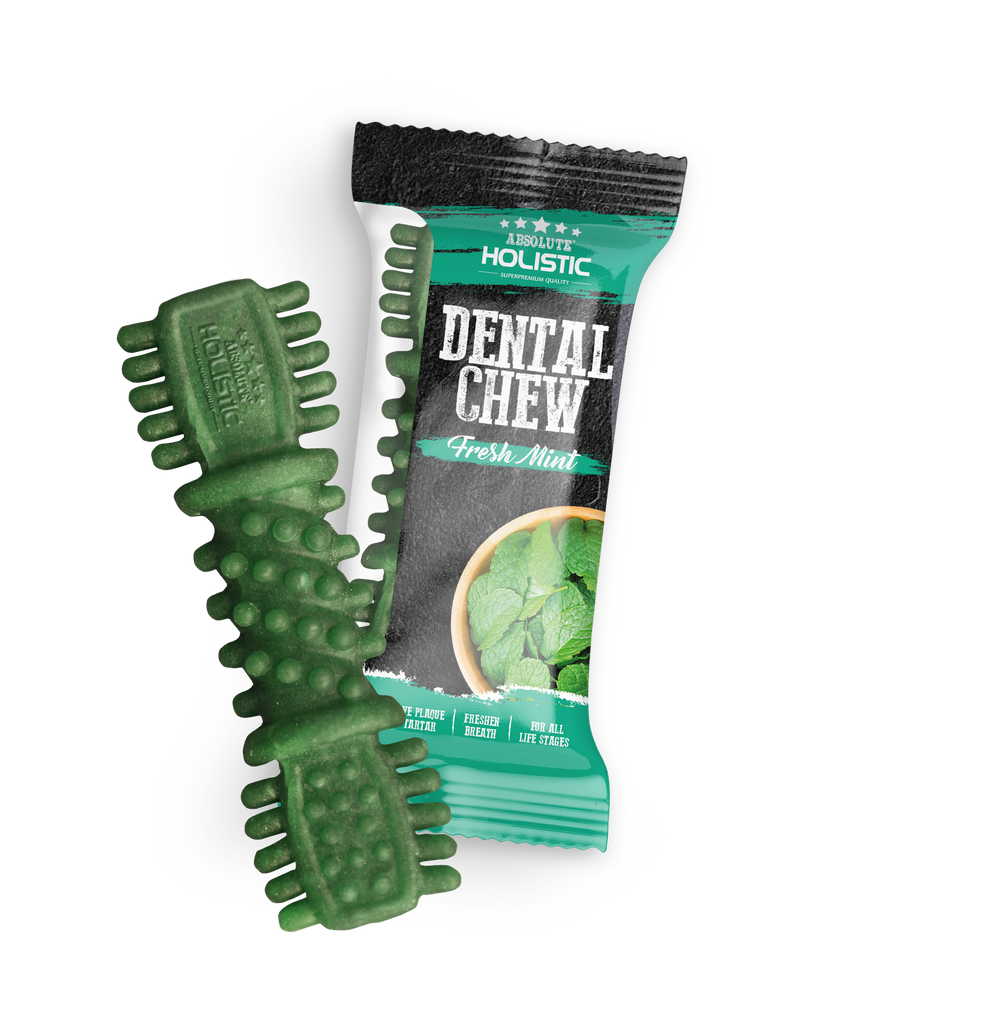 Absolute Holistic Dental Chew for Dogs - Fresh Mint (4")