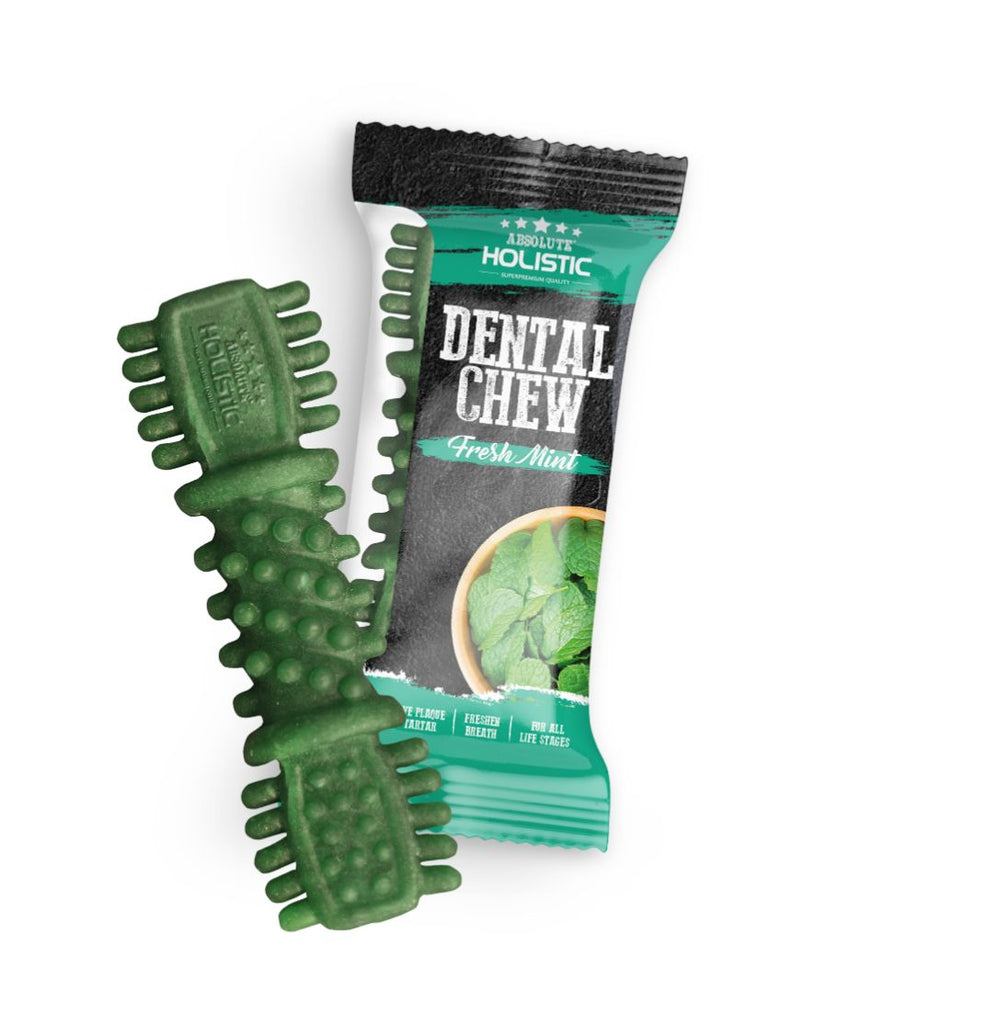 [CTN OF 50] Absolute Holistic Dental Chew for Dogs - Fresh Mint (4")