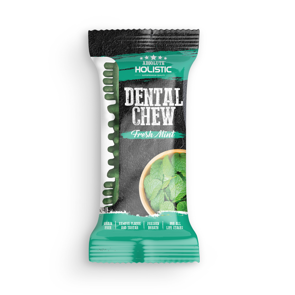 Absolute Holistic Dental Chew for Dogs - Fresh Mint (4")