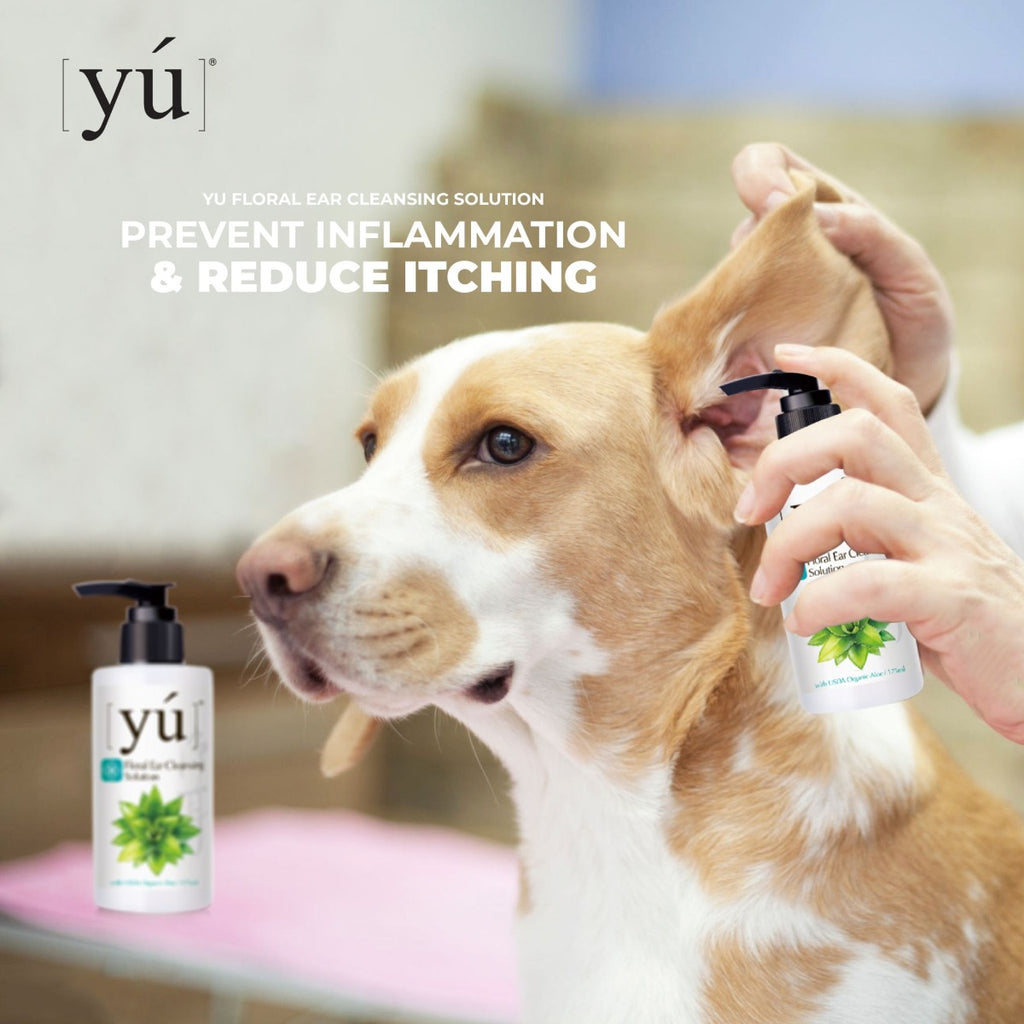 YU Oriental Natural Herbs Bath Shampoo for Cats & Dogs -  Floral Ear Cleansing Solution