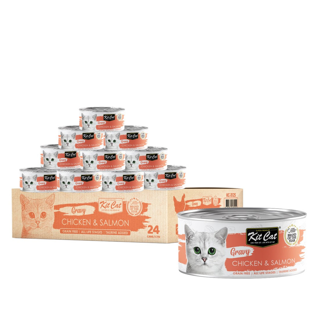 [CTN OF 24] Kit Cat Gravy Cat Canned Food - Chicken & Salmon (70g)