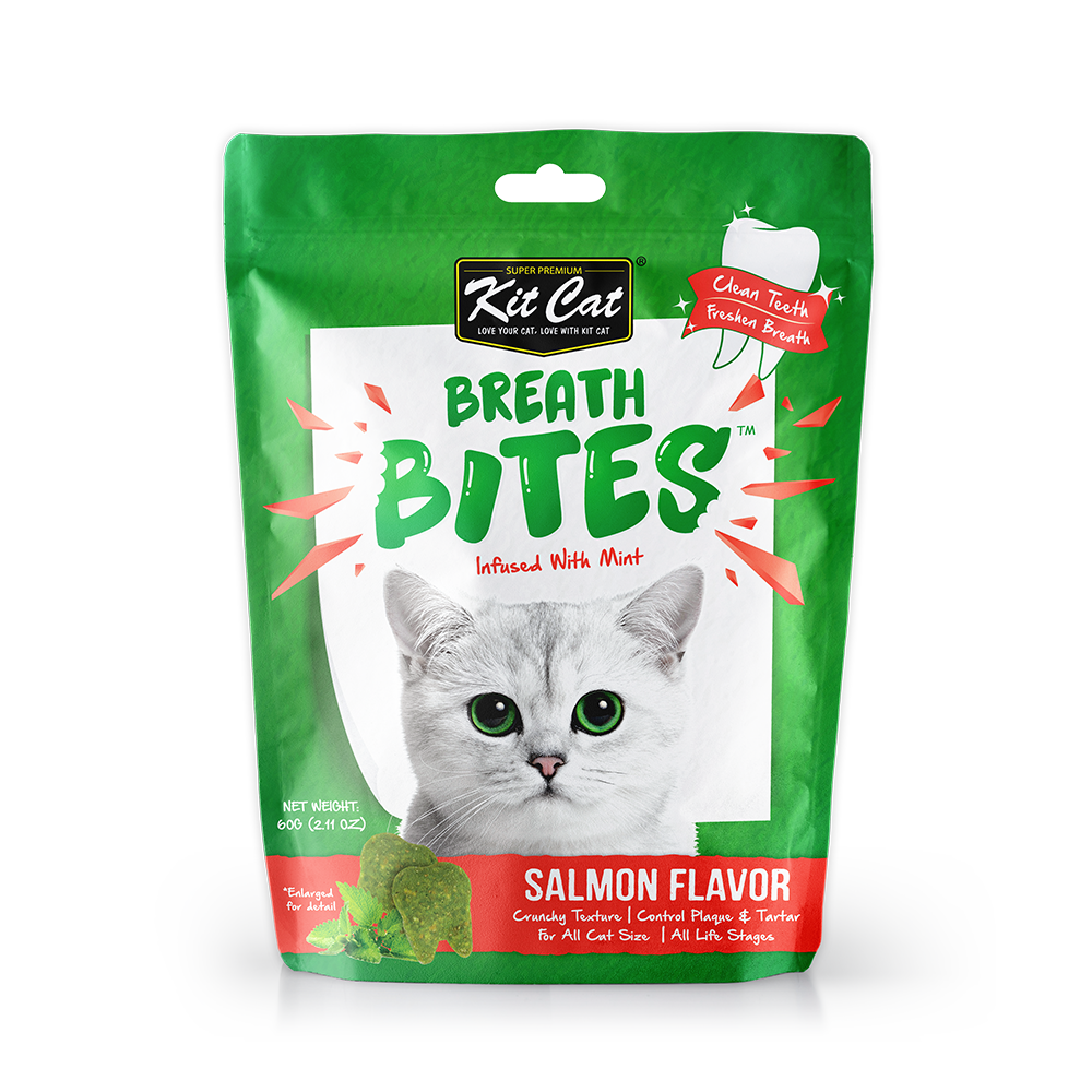 [CTN of 12] Kit Cat Breath Bites Dental Cat Treats - Salmon (60g)