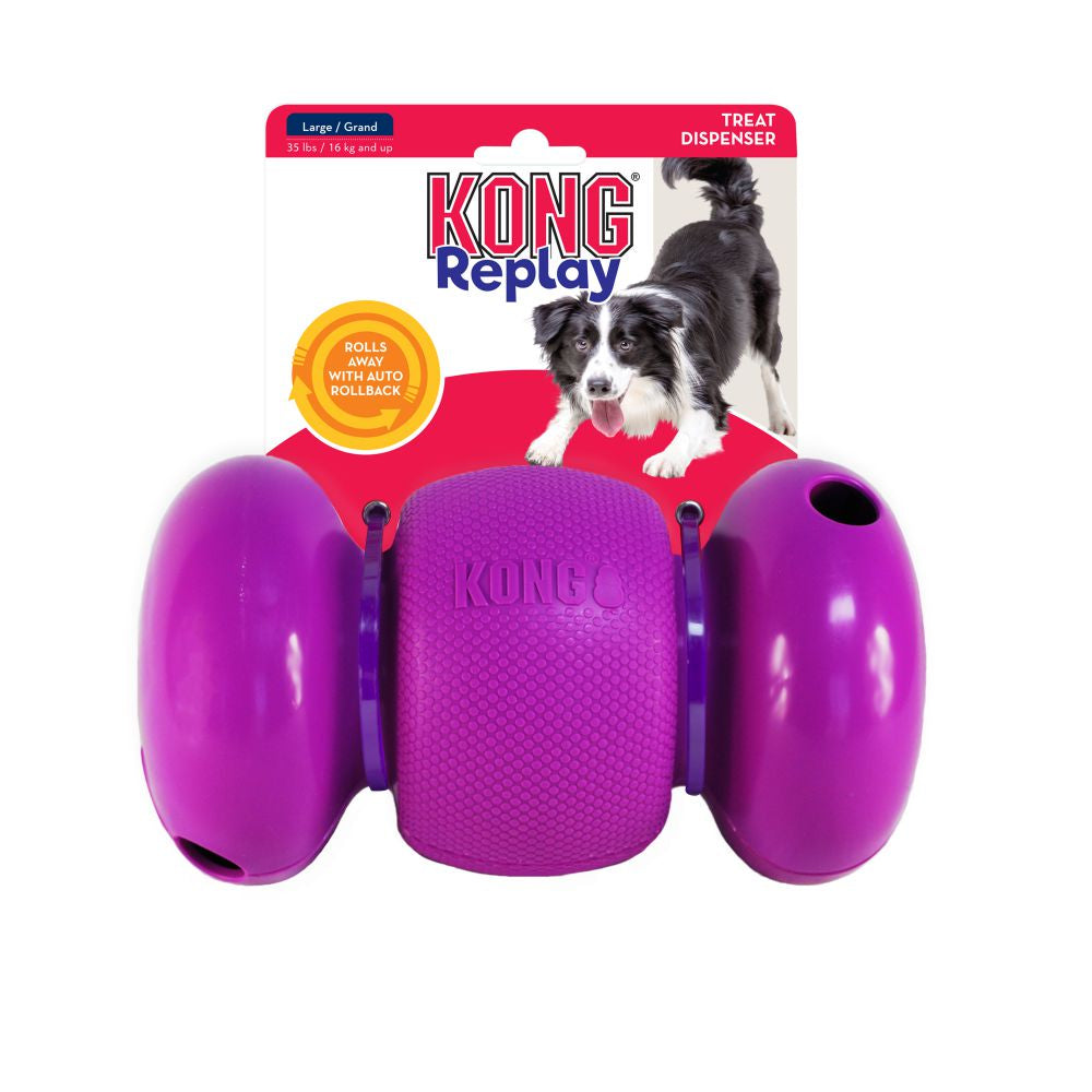 KONG Dog Toy - Replay (1 Size)