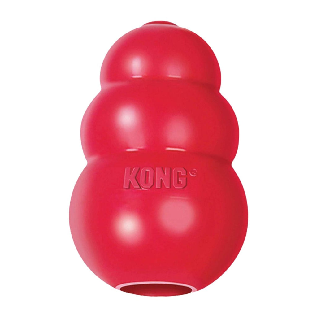 Kong Dog Toy - Classic (6 Sizes)