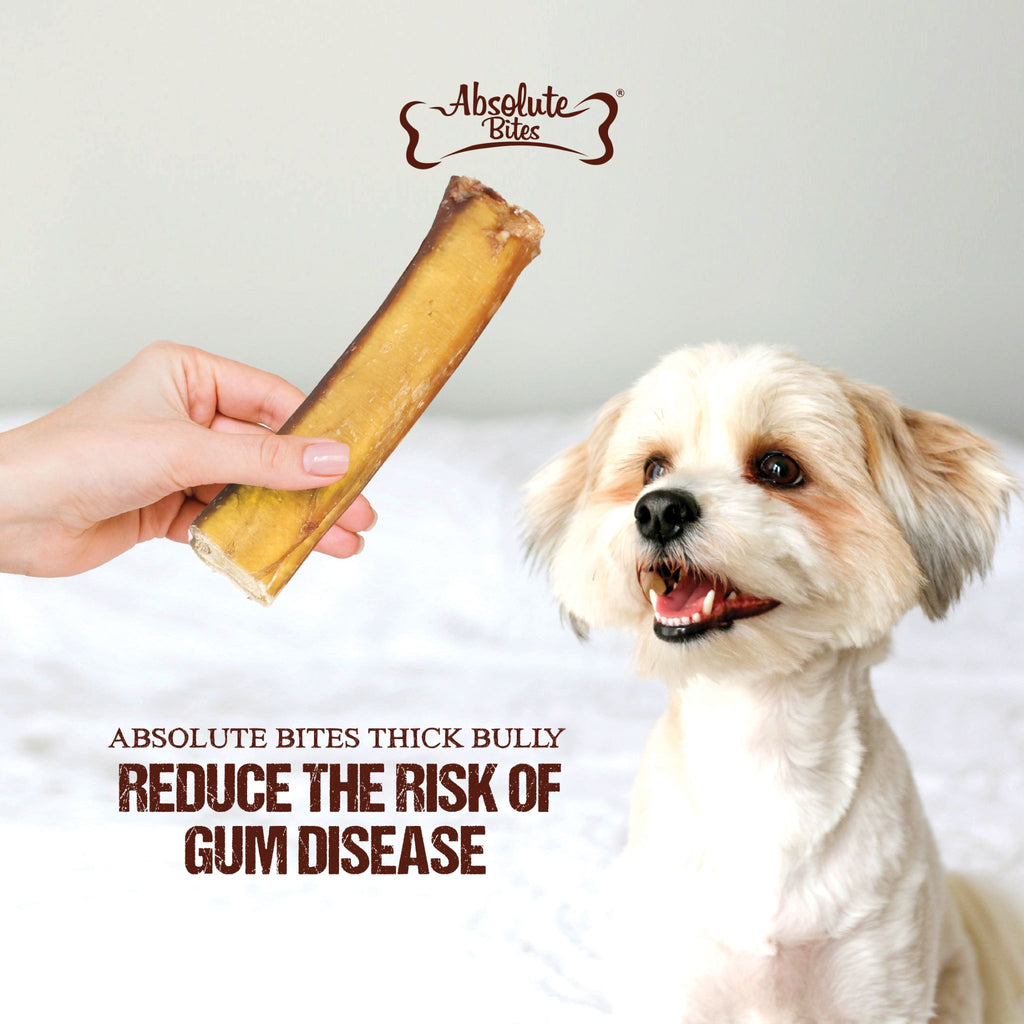 Absolute Bites Braided Bully Stick, high-protein, natural chew made from premium beef.
