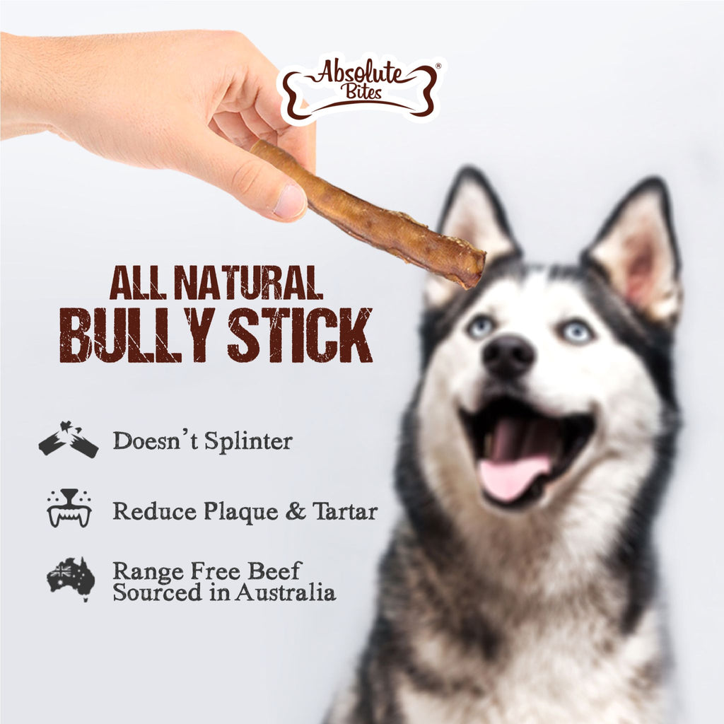 Absolute Bites Braided Bully Stick, high-protein, natural chew made from premium beef.