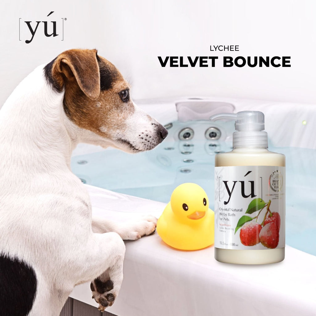 YU Oriental Natural Herbs Bath Shampoo for Cats & Dogs -  Lychee Bouncing formula