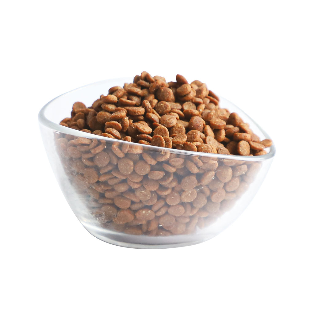 Kit Cat Premium Dry Cat Food  - Pick Of The Ocean (5kg)