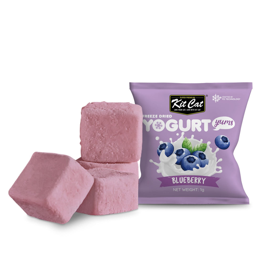 [CTN OF 48] Kit Cat Freeze Dried Yogurt Yums Cat Treat - Blueberry (10pcs/pkt)