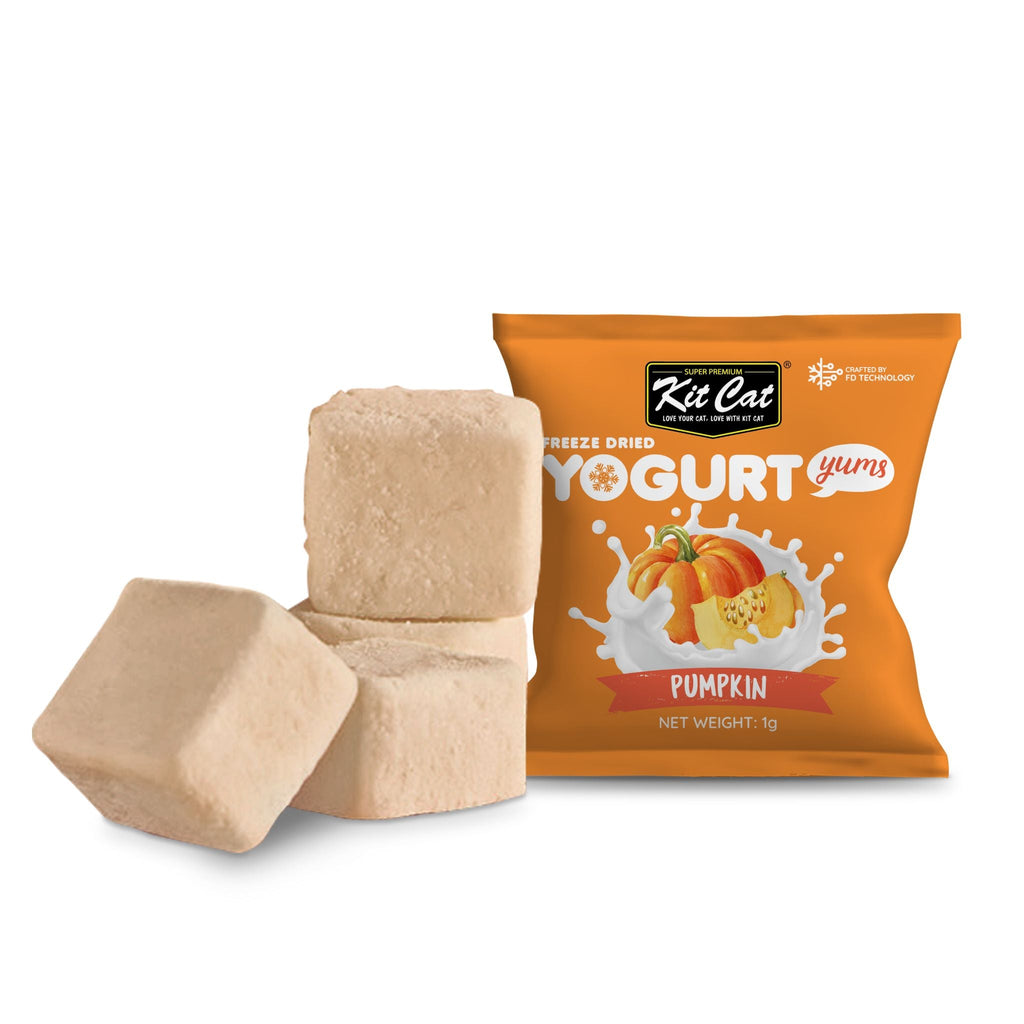 [CTN OF 48] Kit Cat Freeze Dried Yogurt Yums Cat Treats - Pumpkin (10pcs/pkt)