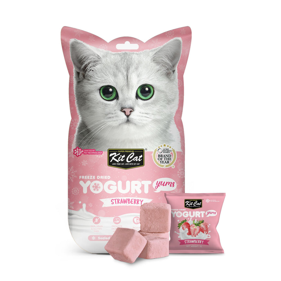 Kit Cat Freeze Dried Yogurt Yums Cat Treat Strawberry 10pcs B2K Pet