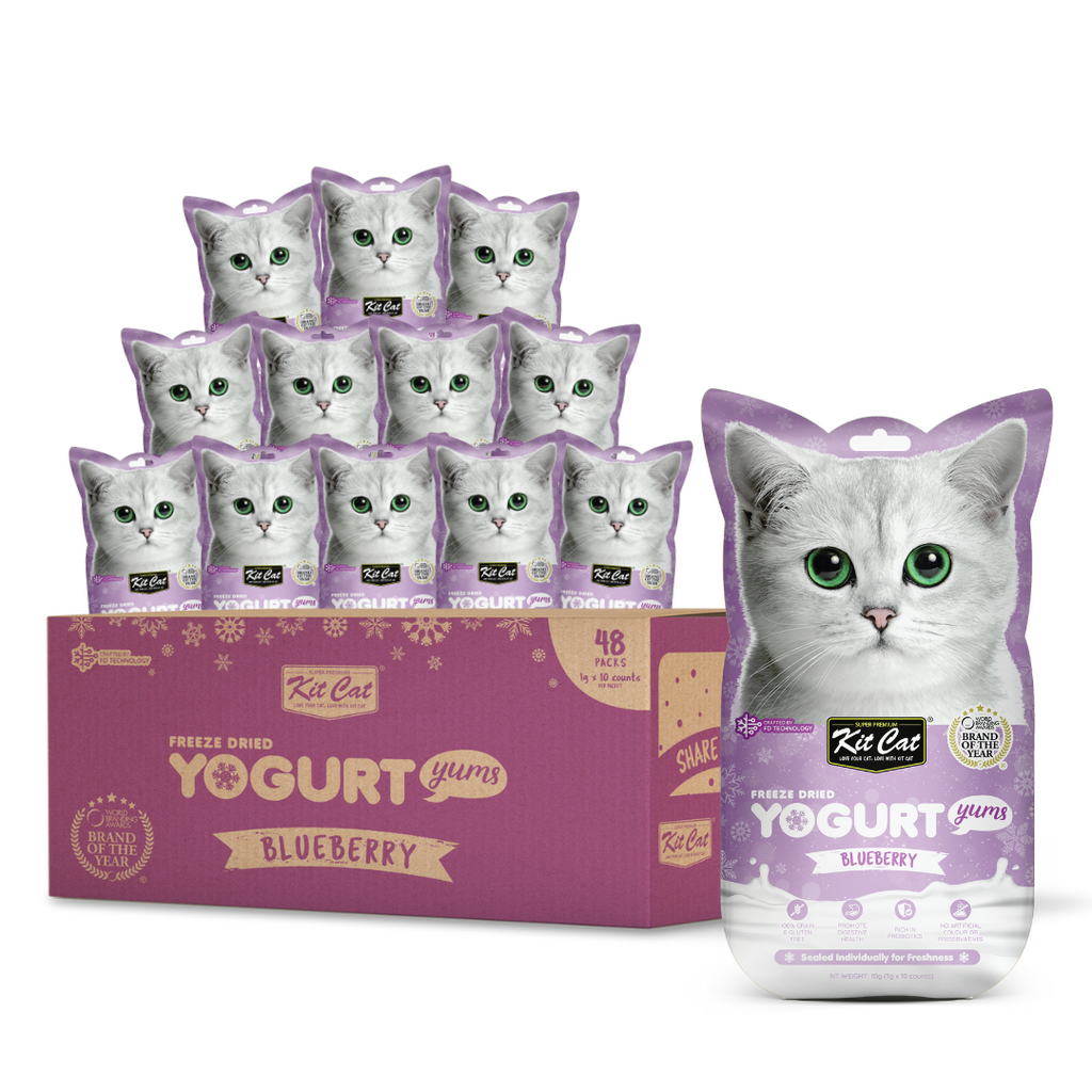[CTN OF 48] Kit Cat Freeze Dried Yogurt Yums Cat Treat - Blueberry (10pcs/pkt)