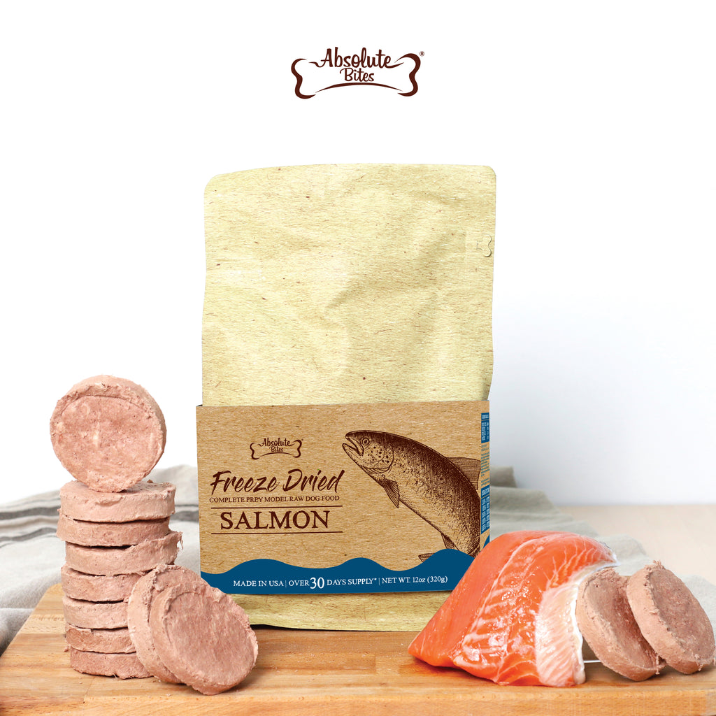 Absolute Bites Freeze Dried Raw Patty for Dogs - Salmon (12oz) | Prey Model Raw (PMR)