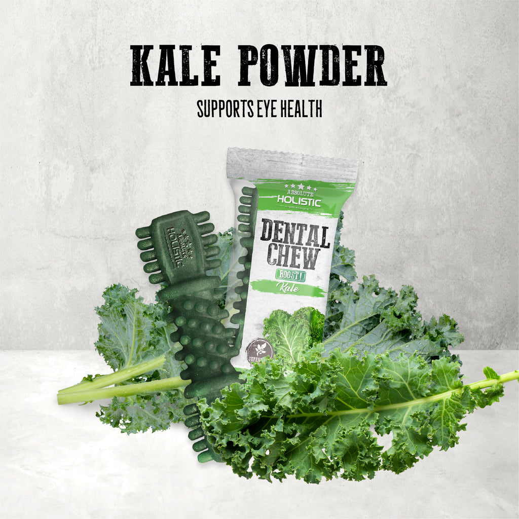 Absolute Holistic BOOST Dental Chew for Dogs - Kale (4") | Infused with Superfood